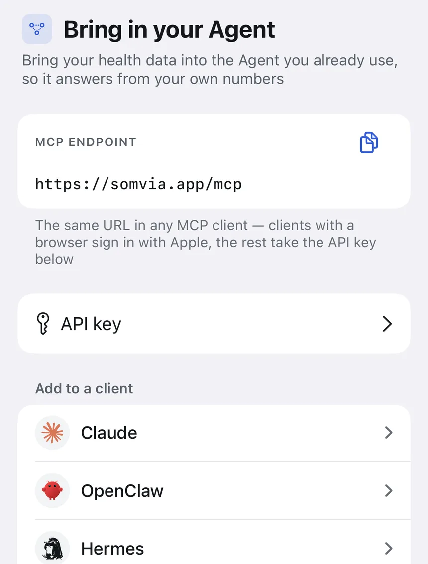 The Connection screen in Somvia with the MCP endpoint, the API key and Hermes in the list of clients
